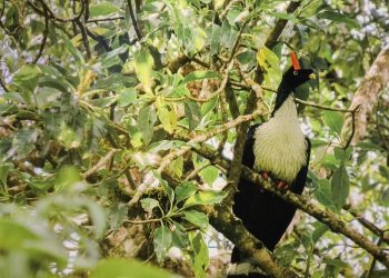 San Marcos avanza hacia la conservación y el desarrollo sostenible