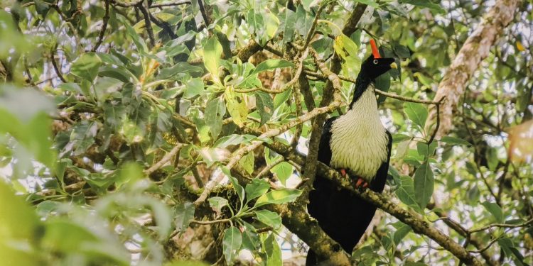 San Marcos avanza hacia la conservación y el desarrollo sostenible