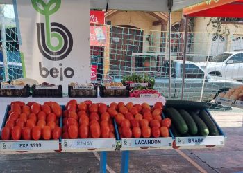 Reafirman compromiso con el desarrollo agrícola de Jutiapa