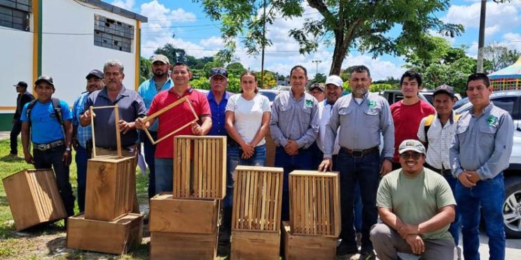 Apicultores de Petén se benefician con tecnología compartida por el MAGA. / Foto: MAGA.