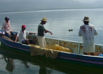 MAGA indica veda temporal de pesca en el área continental de Izabal./Foto: MAGA.