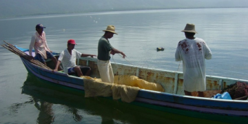 MAGA indica veda temporal de pesca en el área continental de Izabal./Foto: MAGA.