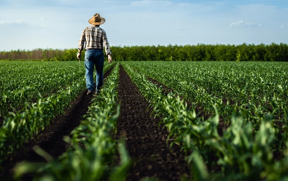 Desde el MAGA se ha destacado que este programa es una herramienta esencial para dinamizar las economías locales. / Foto: MAGA
