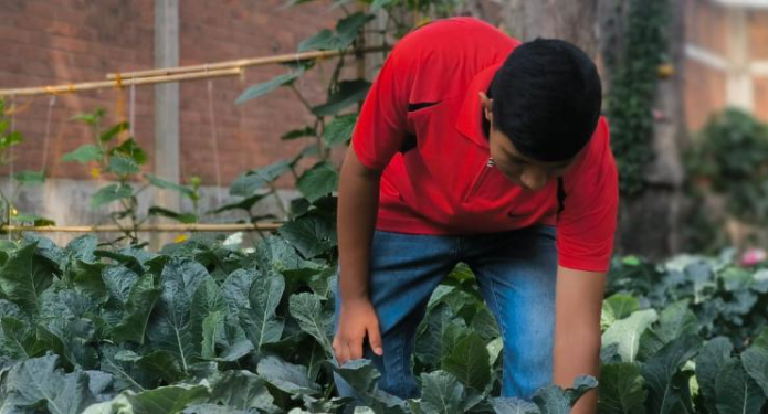 Daniel sueño con sembrar maíz en el huerto escolar./Foto: CIV.