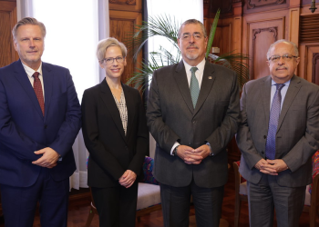 Presidente se reúne con la relatora especial de la ONU