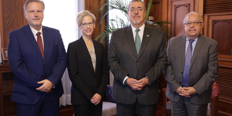 Presidente se reúne con la relatora especial de la ONU