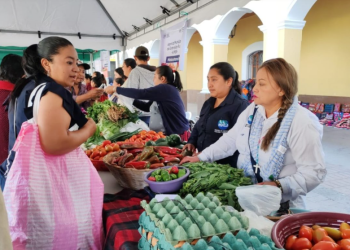 El MAGA reafirma su compromiso de seguir acercando estas oportunidades a las comunidades del país. / Foto: MAGA