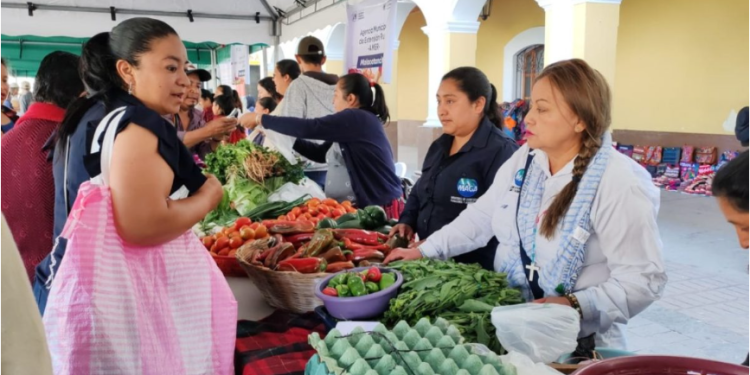 El MAGA reafirma su compromiso de seguir acercando estas oportunidades a las comunidades del país. / Foto: MAGA