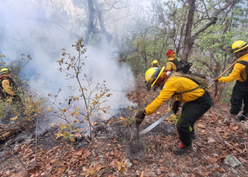 Conred trabaja para liquidar cuatro incendios activos./Foto: Conred.