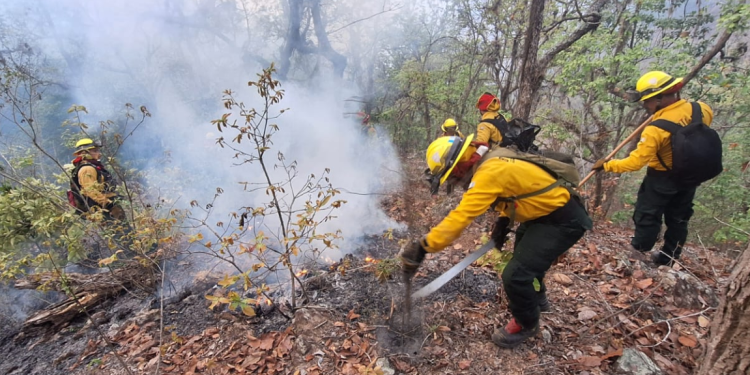 Conred trabaja para liquidar cuatro incendios activos./Foto: Conred.