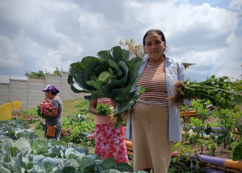 El huerto de San José Obrero no solo alimenta, también empodera. / Foto: MAGA