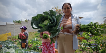 El huerto de San José Obrero no solo alimenta, también empodera. / Foto: MAGA
