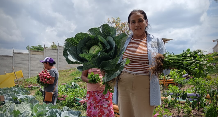 El huerto de San José Obrero no solo alimenta, también empodera. / Foto: MAGA