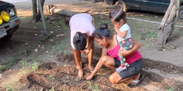 Los huertos han sido implementados en varios departamentos, desde Alta y Baja Verapaz hasta Totonicapán, Chimaltenango, Zacapa, Escuintla y otros. / Foto: MAGA