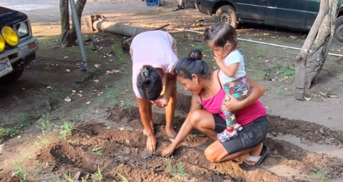 Los huertos han sido implementados en varios departamentos, desde Alta y Baja Verapaz hasta Totonicapán, Chimaltenango, Zacapa, Escuintla y otros. / Foto: MAGA