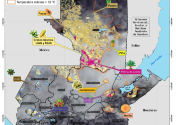 Estas acciones de monitoreo y asesoría forman parte del compromiso del MAGA por garantizar una producción agropecuaria resiliente y sostenible. / Foto: MAGA