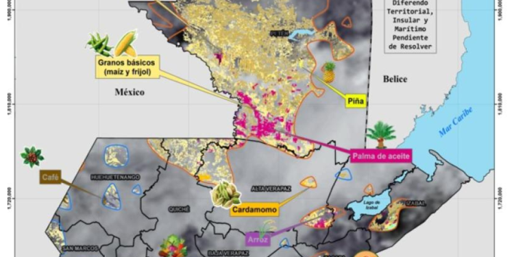 Estas acciones de monitoreo y asesoría forman parte del compromiso del MAGA por garantizar una producción agropecuaria resiliente y sostenible. / Foto: MAGA