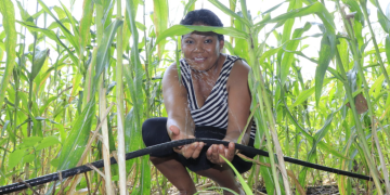 Tob’anik representa una oportunidad concreta para miles de agricultores que han visto limitadas sus posibilidades de crecimiento. / Foto: MAGA
