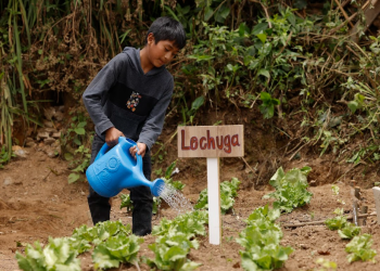 Mano a Mano continúa transformando comunidades vulnerables./Foto: Gilber García.