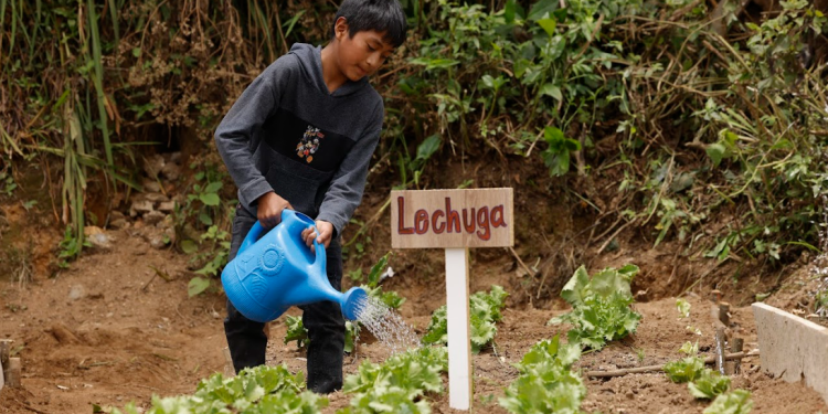Mano a Mano continúa transformando comunidades vulnerables./Foto: Gilber García.