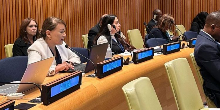 La subsecretaria de Segeplan, Ileana Peña, durante su intervención en el Foro Ecosoc, en Nueva York.