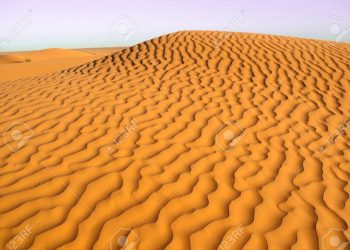 Estudio revela cómo se forman las dunas. / Foto: Ecosistemas.