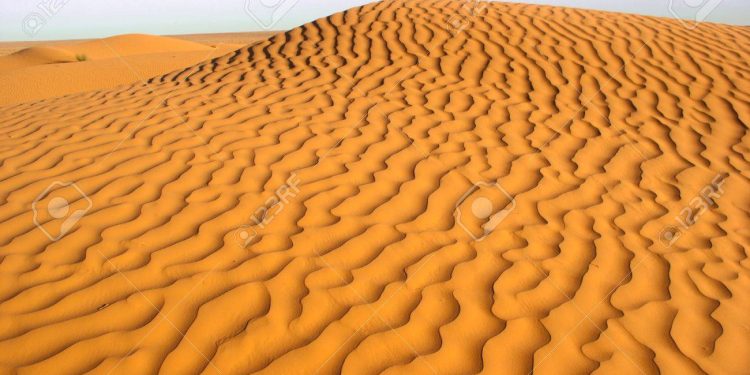 Estudio revela cómo se forman las dunas. / Foto: Ecosistemas.