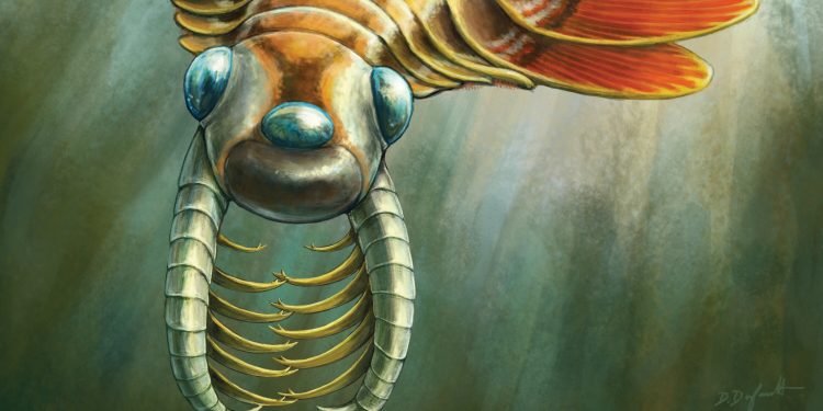 Fósil con tres ojos descubierto en yacimiento de Canadá. / Imagen: The New York Times.