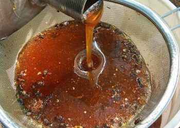 Este resultado representa un avance significativo en el fortalecimiento de la apicultura comunitaria. / Foto: MAGA