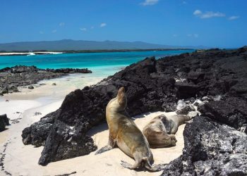 Islas Galápagos. / Foto: RandomTrip.