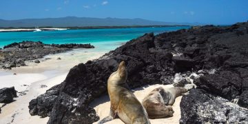 Islas Galápagos. / Foto: RandomTrip.