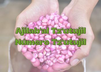 Este idioma continúa demostrando su vitalidad, gracias al esfuerzo de las comunidades y las instituciones que trabajan por preservarlo. / Arte: AGN