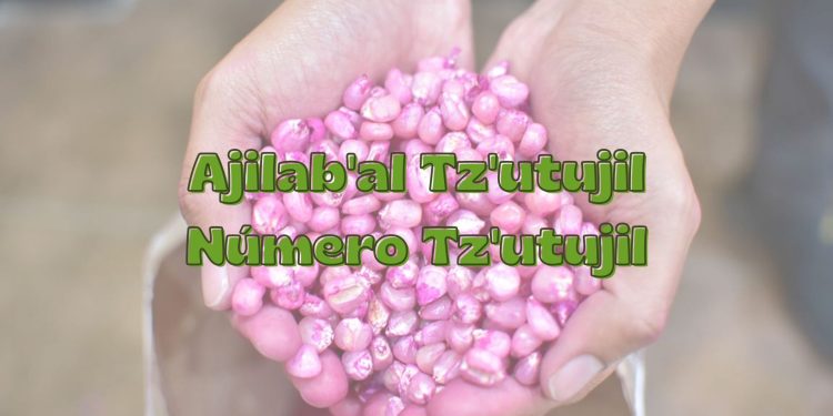 Este idioma continúa demostrando su vitalidad, gracias al esfuerzo de las comunidades y las instituciones que trabajan por preservarlo. / Arte: AGN