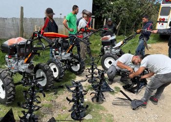 Productores de papa se benefician con herramientas e insumos. / Foto: MAGA.