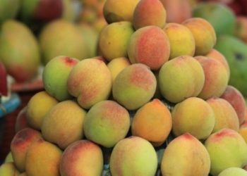 En el marco de esta celebración, el Ministerio reafirma su compromiso de seguir promoviendo el consumo de frutas locales./ Foto: MAGA