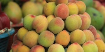 En el marco de esta celebración, el Ministerio reafirma su compromiso de seguir promoviendo el consumo de frutas locales./ Foto: MAGA