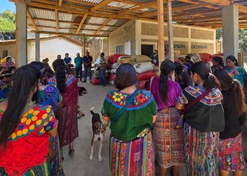 El cultivo de hortalizas en espacios reducidos también fue una de las prácticas destacadas que impulsa el MAGA. / Foto: MAGA
