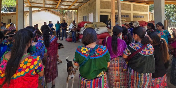 El cultivo de hortalizas en espacios reducidos también fue una de las prácticas destacadas que impulsa el MAGA. / Foto: MAGA