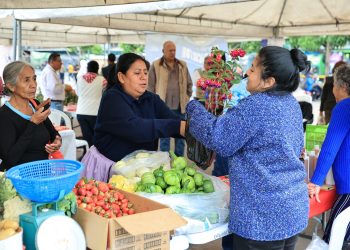 Feria del Agricultor acerca productos frescos a precios bajos. / Foto: MAGA.
