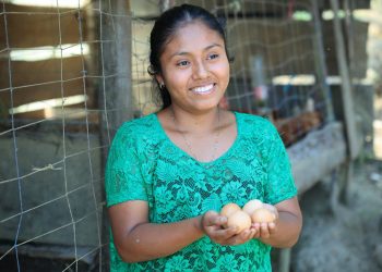 Proyecto de gallinas ponedoras fomenta el emprendimiento y mejora la alimentación./Foto: MAGA.