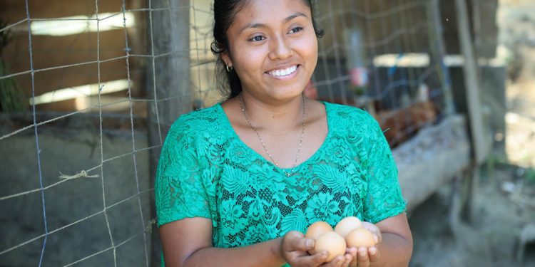 Proyecto de gallinas ponedoras fomenta el emprendimiento y mejora la alimentación./Foto: MAGA.