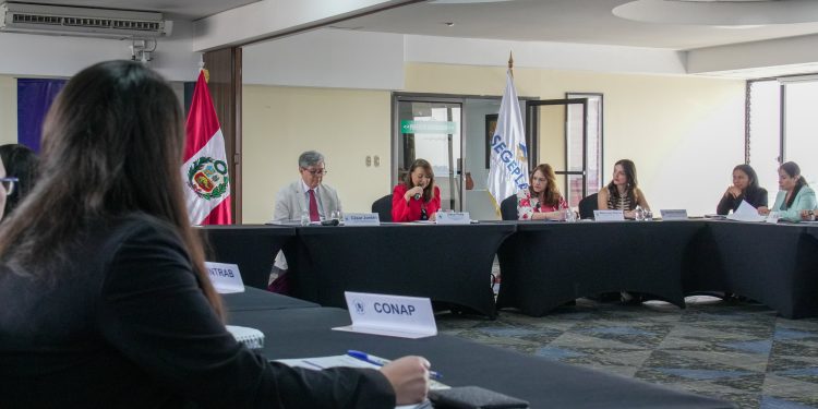 Guatemala y Perú retoman cooperación técnica y científica. / Foto: Segeplan.
