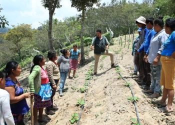 Con esta intervención, el MAGA reafirma su respaldo al desarrollo de la agricultura familiar. / Foto: MAGA