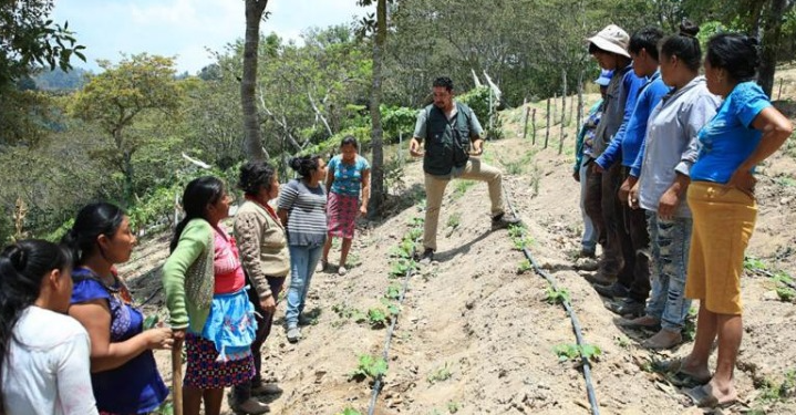 Con esta intervención, el MAGA reafirma su respaldo al desarrollo de la agricultura familiar. / Foto: MAGA