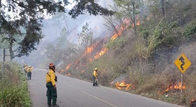 Cierre temporal de paso hacia San Martín Jilotepeque por incendio forestal