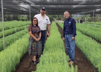 Compromiso por el agua y el futuro ambiental de Chimaltenango