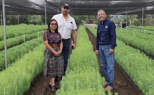 Compromiso por el agua y el futuro ambiental de Chimaltenango