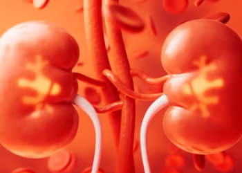 OMS aprobó resolución sobre salud renal impulsada por Guatemala. (Foto: archivo)