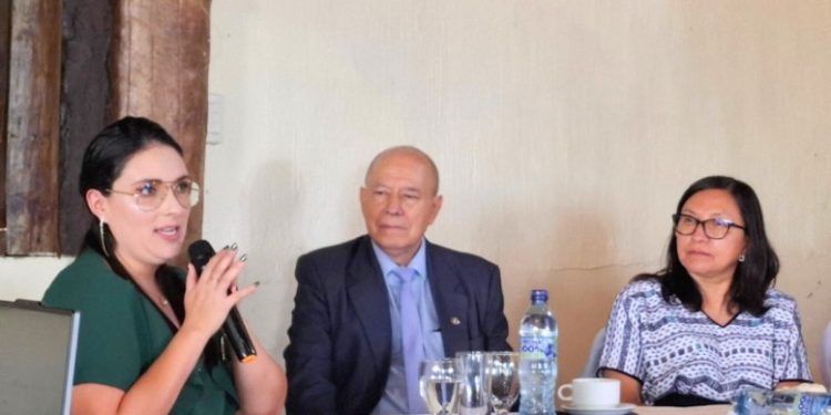 En Chimaltenango impulsan seminario “A mayor educación, menos agresión”