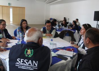 Realizan taller para la construcción de agendas territoriales en seguridad alimentaria y nutricional en Totonicapán